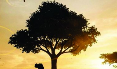 Memória e Resistência: Educadora de São Sebastião lança obra que resgata a essência da infância preta.