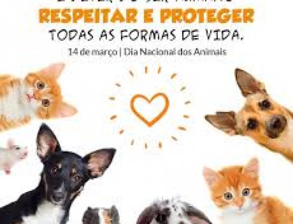 14 de Março: Dia Nacional dos Animais – Uma data para refletir, adotar e proteger