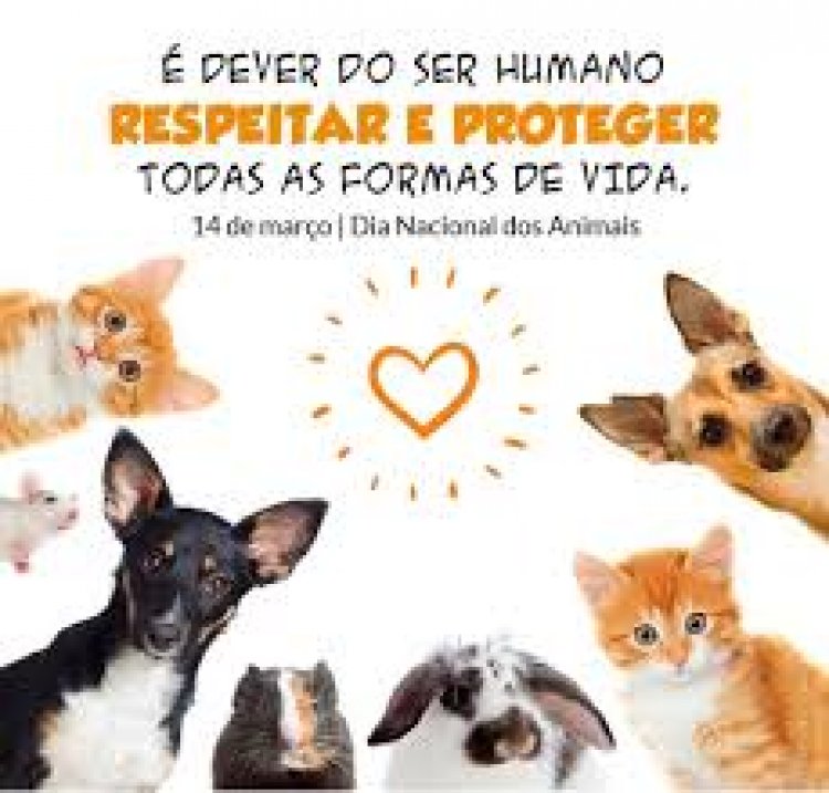 14 de Março: Dia Nacional dos Animais – Uma data para refletir, adotar e proteger