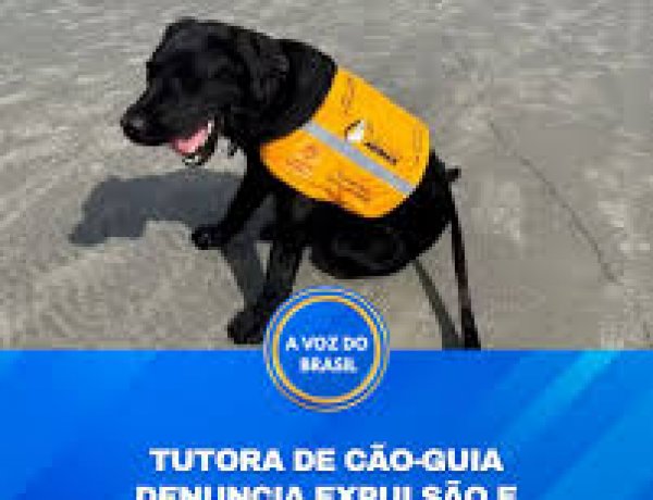 Caso de cão-guia em treinamento na Praia da Baleia gera revolta e reacende debate sobre acessibilidade