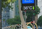 Onda de calor: veja 8 sinais do corpo ao passar mal com altas temperaturas.