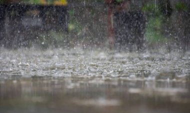 Defesa Civil do Estado de SP alerta para chuvas intensas no Litoral Norte