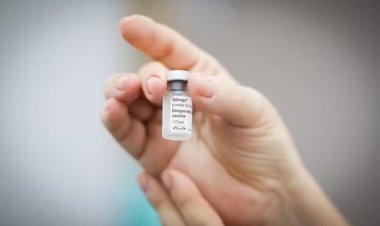 Vacina contra Dengue, SC passa a ofertar doses em todos os 295 municípios.