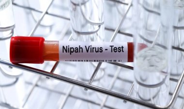 Vírus Nipah: o que se sabe sobre os casos detectados na Índia.