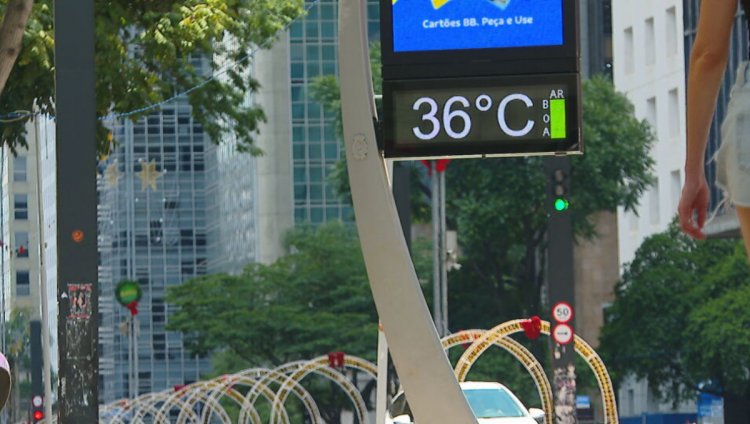 Onda de calor: veja 8 sinais do corpo ao passar mal com altas temperaturas.