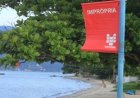 Litoral Norte: oito praias estão impróprias para banho, aponta Cetesb